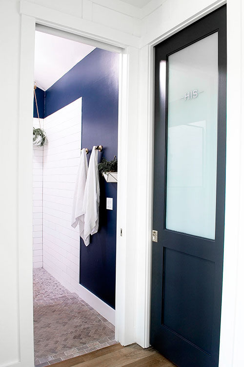 farmhouse bathroom shower black doors navy blue paint hanging plant