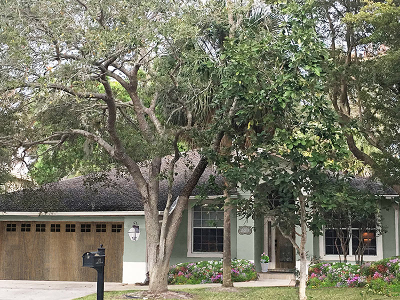 HOW WE TRANSFORMED A STUCCO HOUSE INTO A FRENCH COUNTRY CUTIE