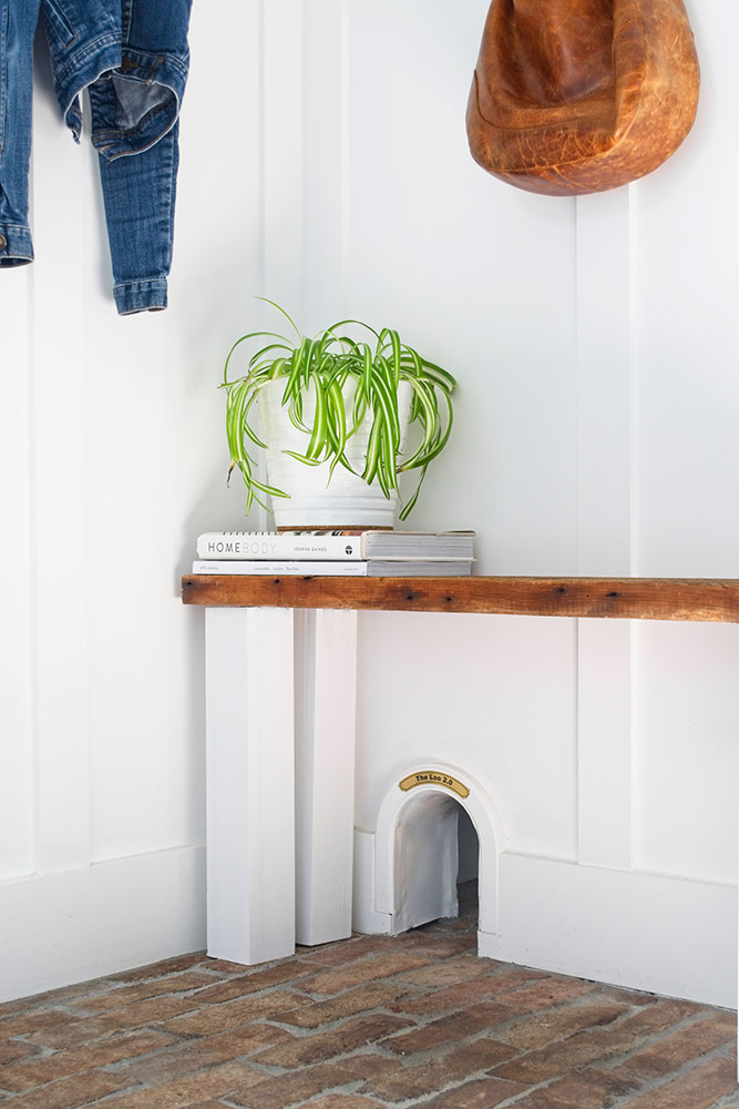 plant on bench with books reclaimed wood door