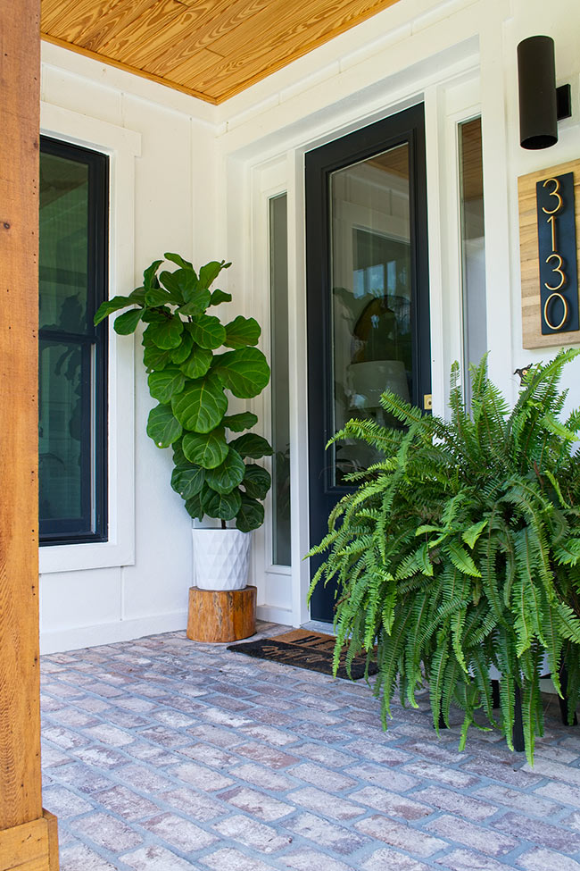 fiddle leaf fig in white planter on front porch