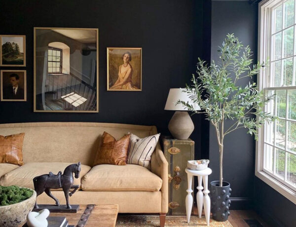 dark and moody living room with black walls and camel brown velvet sofa and Turkish rug and olive tree in bubble pot designed by Haneen's Haven