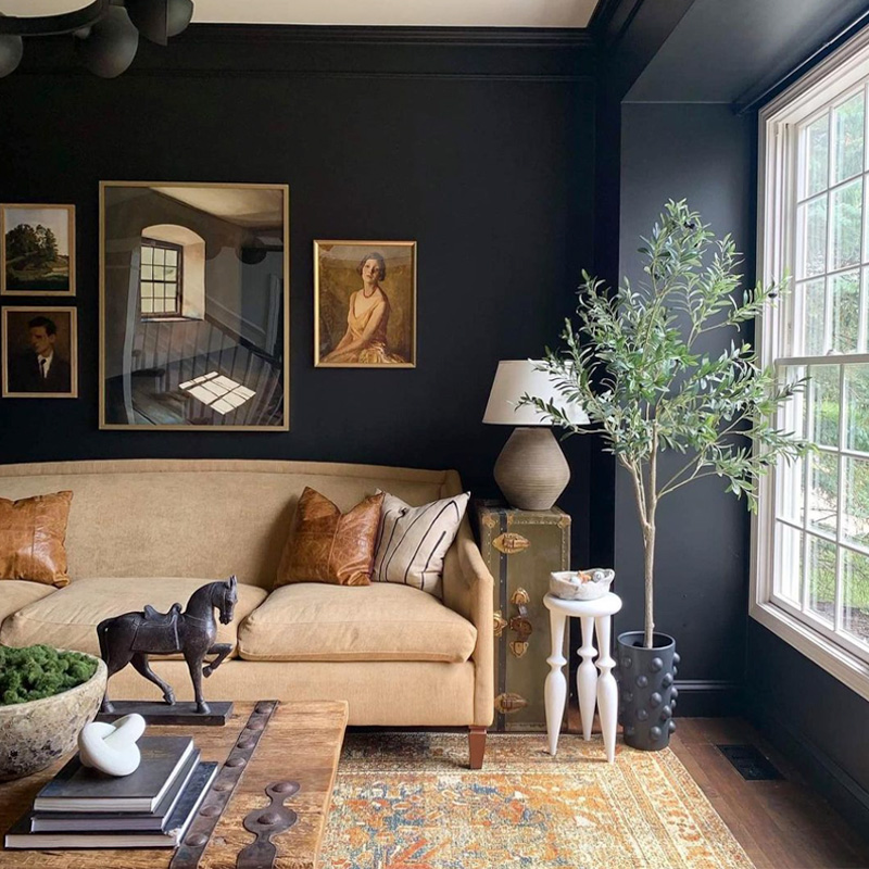dark and moody living room with black walls and camel brown velvet sofa and Turkish rug and olive tree in bubble pot designed by Haneen's Haven